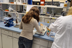 In a laboratory, a pupil stands at a work surface and weighs out various ingredients (including sugar) on a layer. 