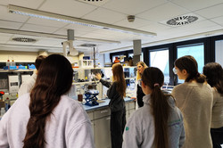 Eine Schülerin steht vor dem Kolben und fasst mit einer Hand an das Glasrohr. Vier andere Schülerinnen und die beiden Workshopleitungen stehen in einem Kreis um sie herum und schauen zu.