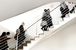 Studentinnen steigen eine Treppe hoch