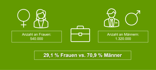 Grafik mit Symbolen für Frau und Mann, Aktenkoffer und Textfeldern mit 'Anzahl an Frauen: 540.000' und 'Anzahl an Männern: 1.320.000' sowie Prozentangabe '29,1 % Frauen vs. 70,9 % Männer'