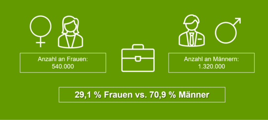 Grafik mit Symbolen für Frau und Mann, Aktenkoffer und Textfeldern mit 'Anzahl an Frauen: 540.000' und 'Anzahl an Männern: 1.320.000' sowie Prozentangabe '29,1 % Frauen vs. 70,9 % Männer'