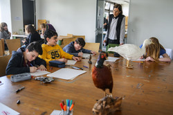 Boys*Day Teilnehmer orientieren sich beim Zeichnen an einen ausgestopften Vogel