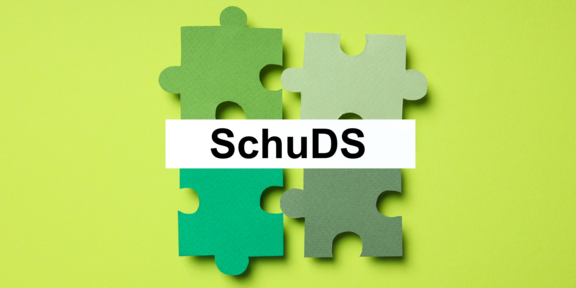  Four puzzle pieces in different shades of green are arranged so that they interlock. "SchuDS" is written above them in black lettering